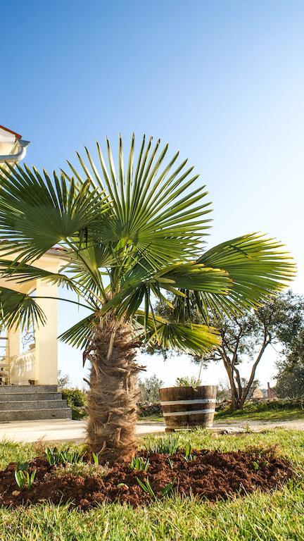 Guest House Croatia Fazana Ngoại thất bức ảnh